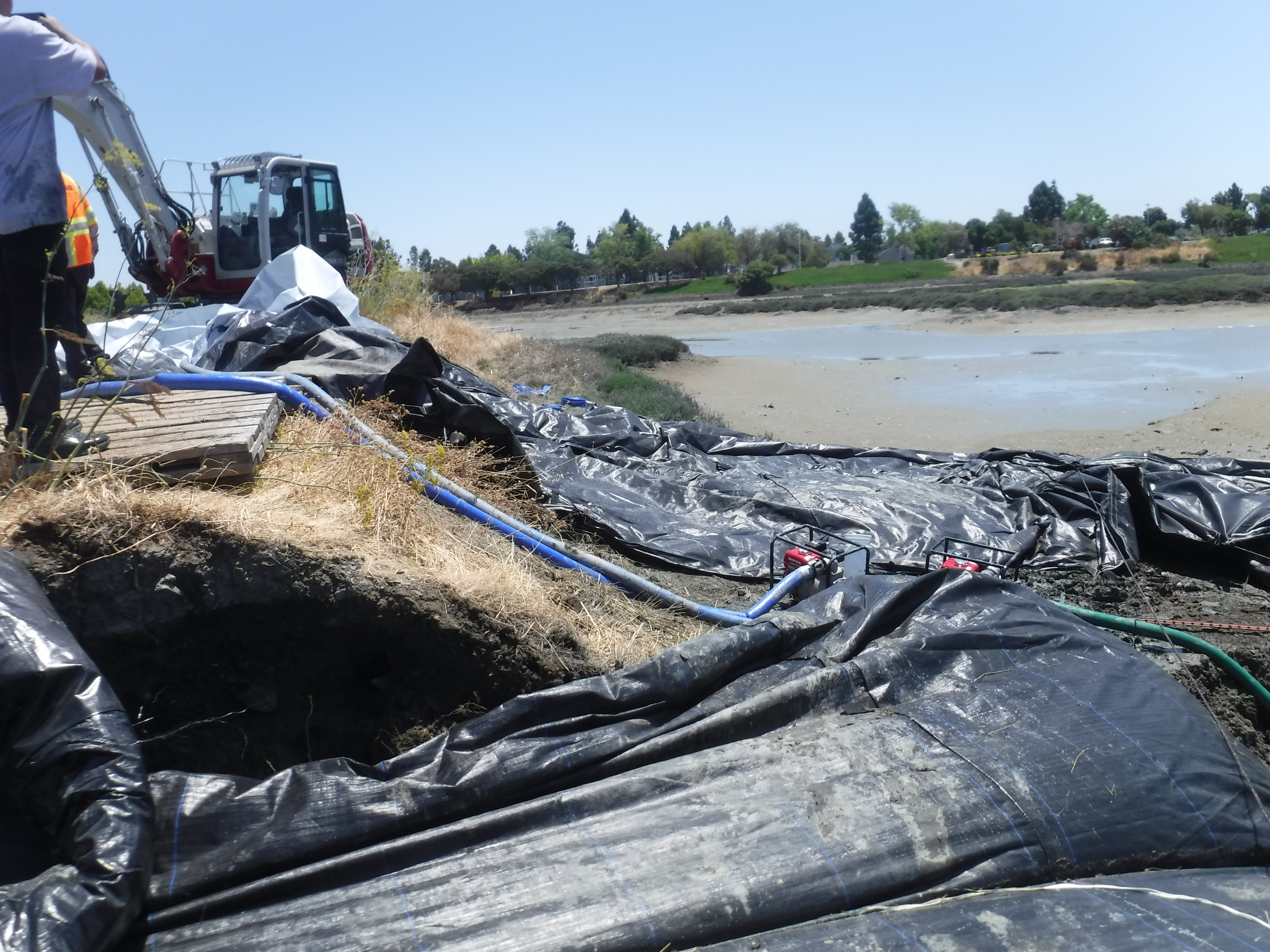 Redwood City, CA 2024