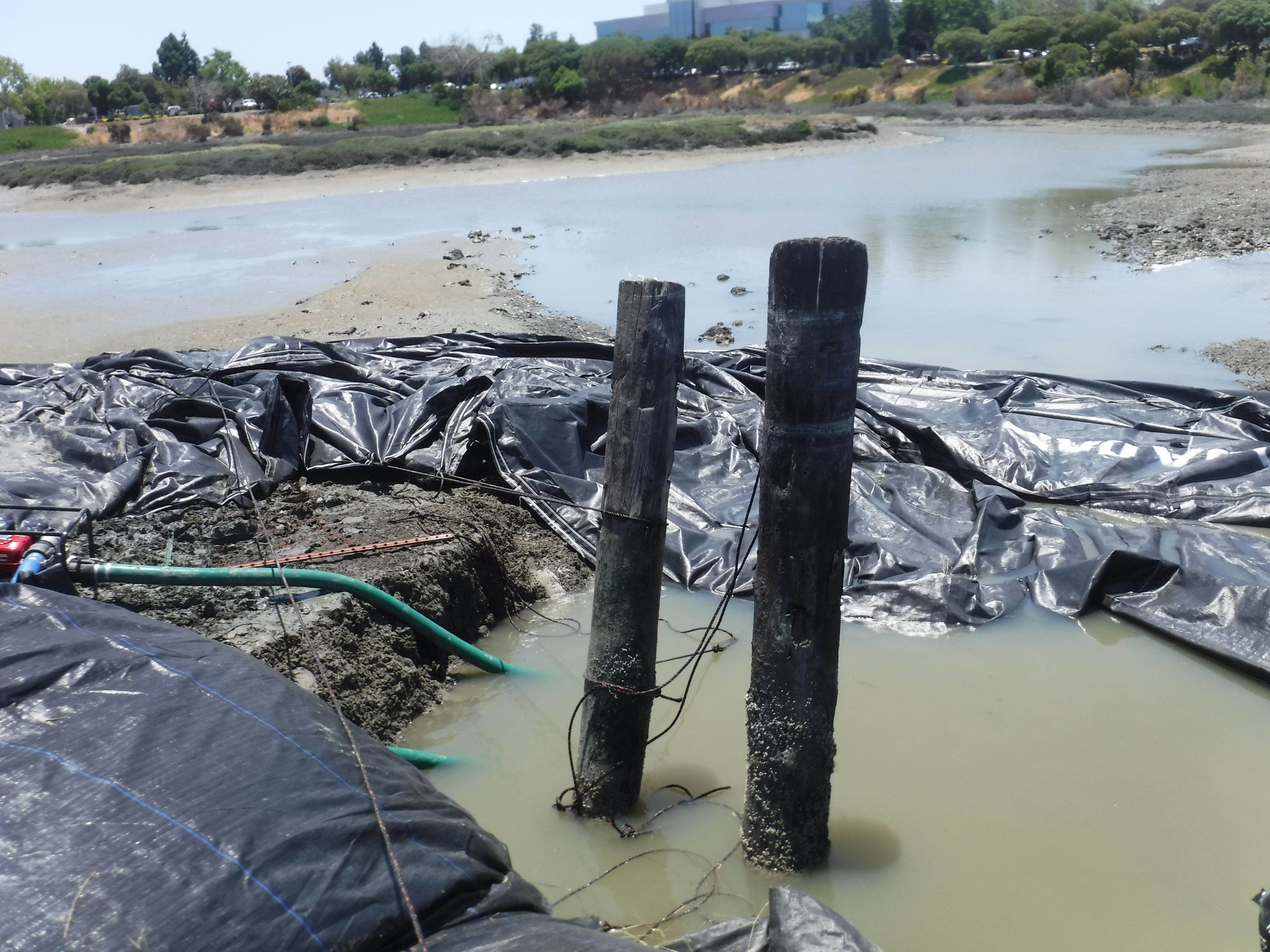 Redwood City, CA 2024