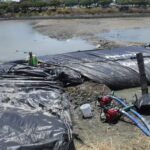 Redwood City, CA 2024