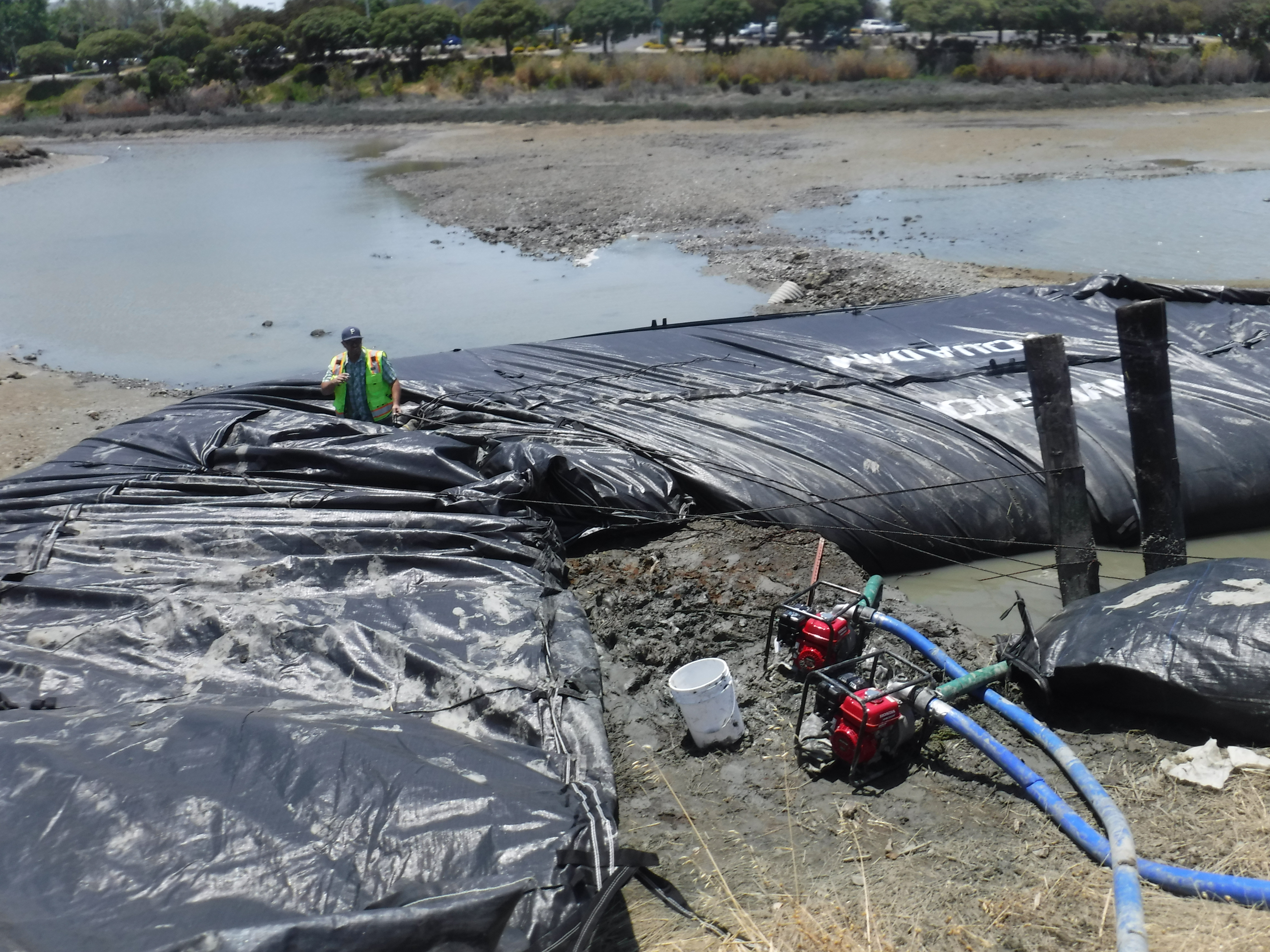 Redwood City, CA 2024