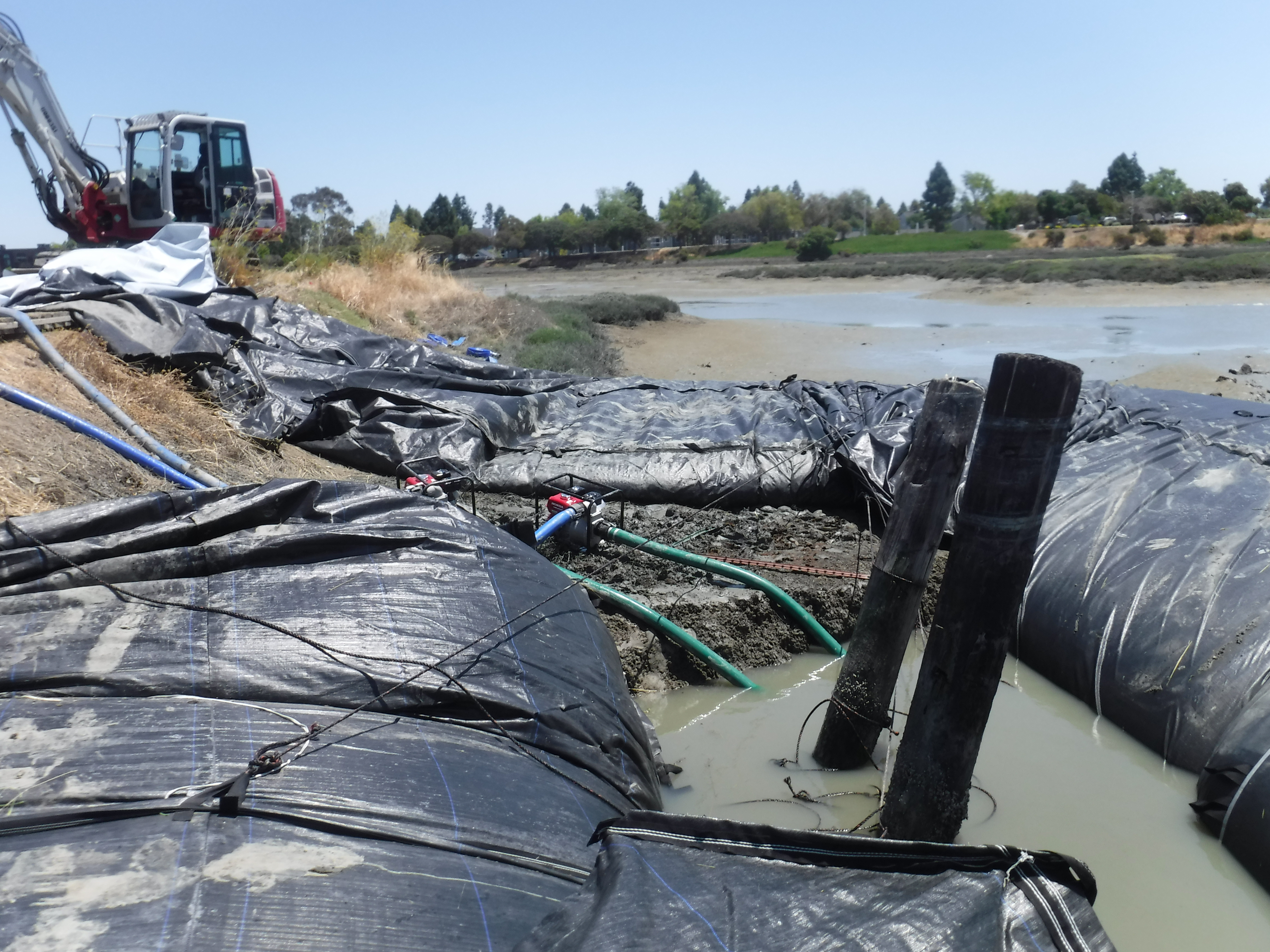 Redwood City, CA 2024