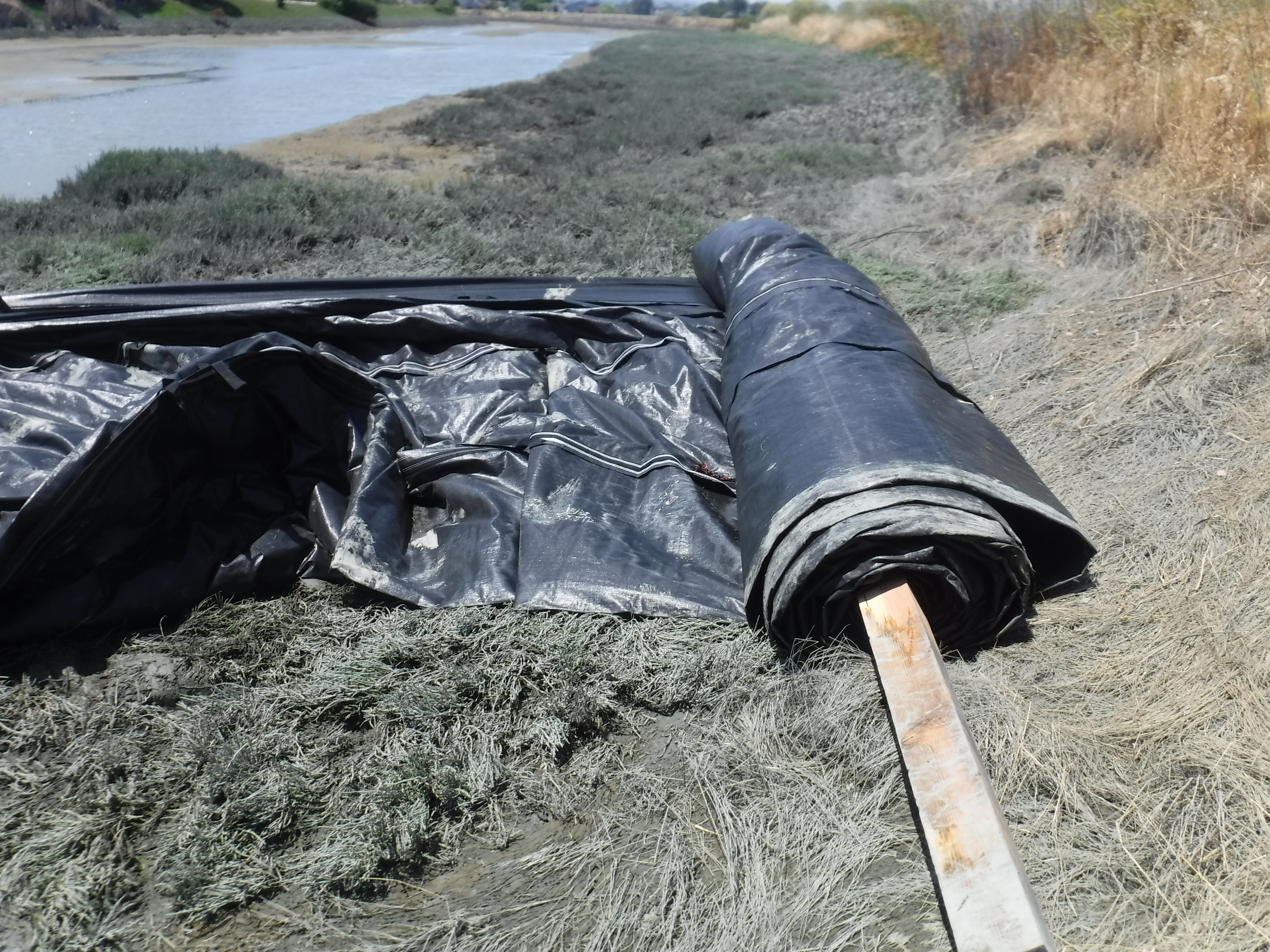 Redwood City, CA 2024