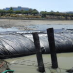 Redwood City, CA 2024