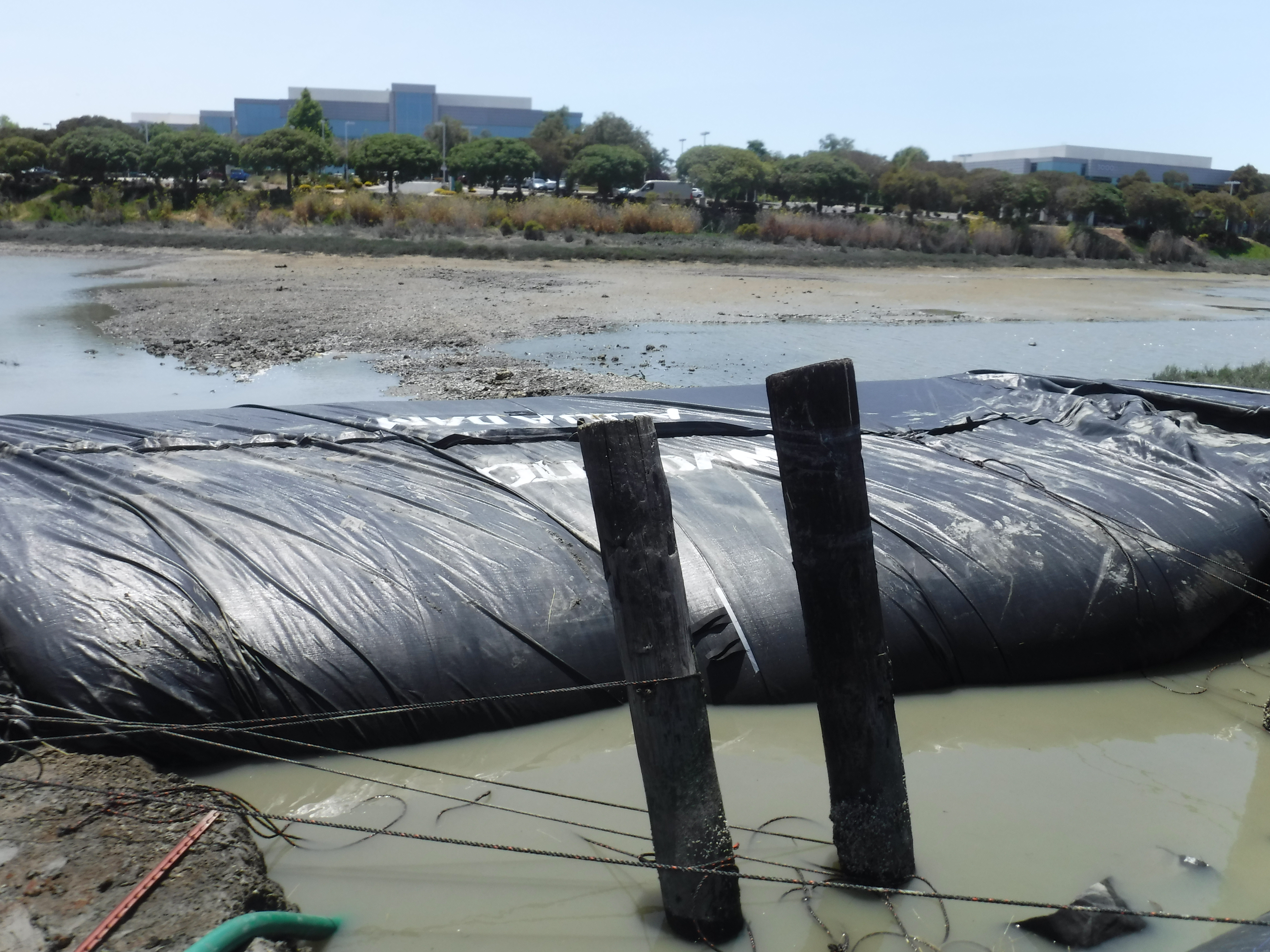 Redwood City, CA 2024