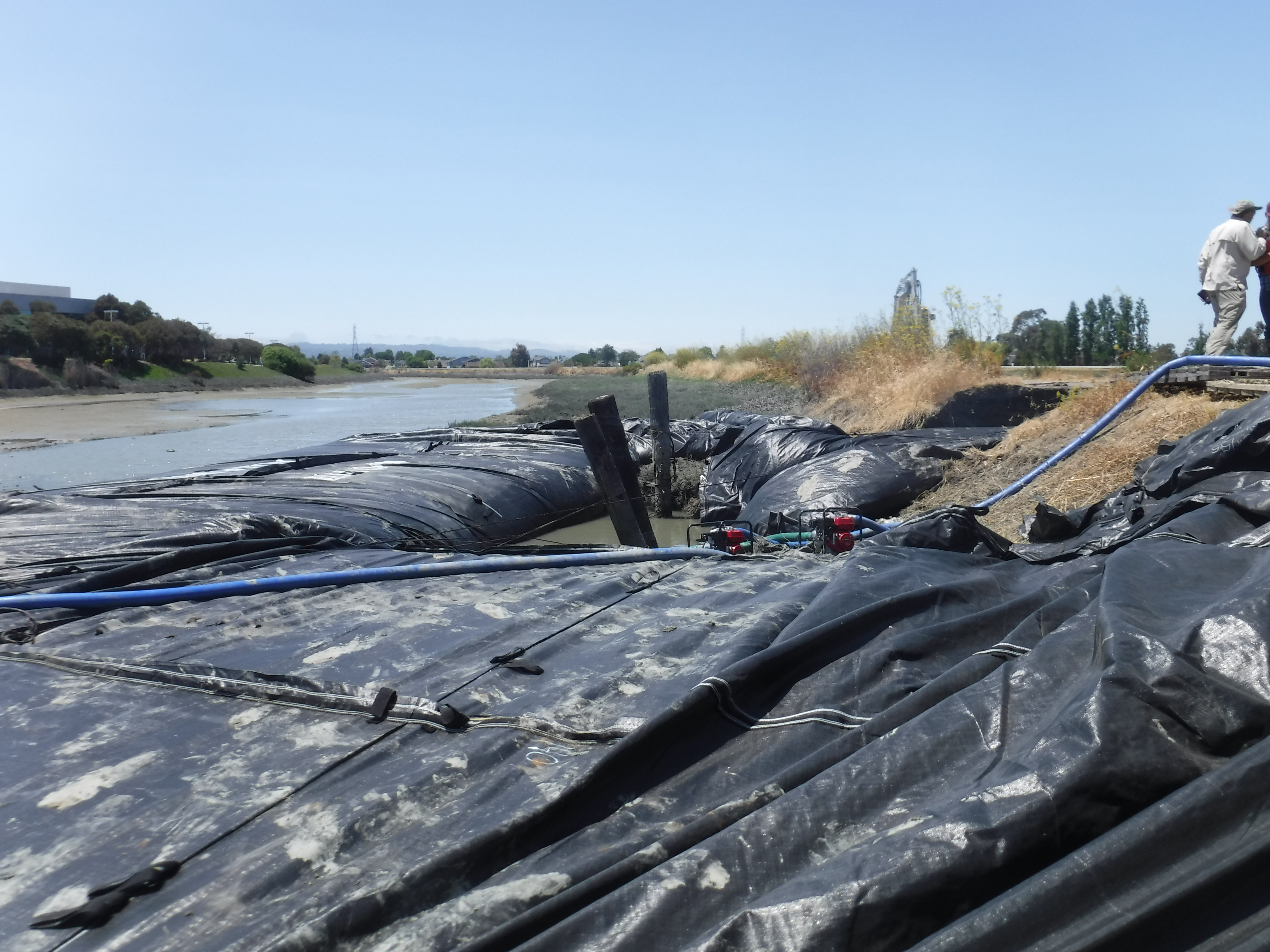 Redwood City, CA 2024