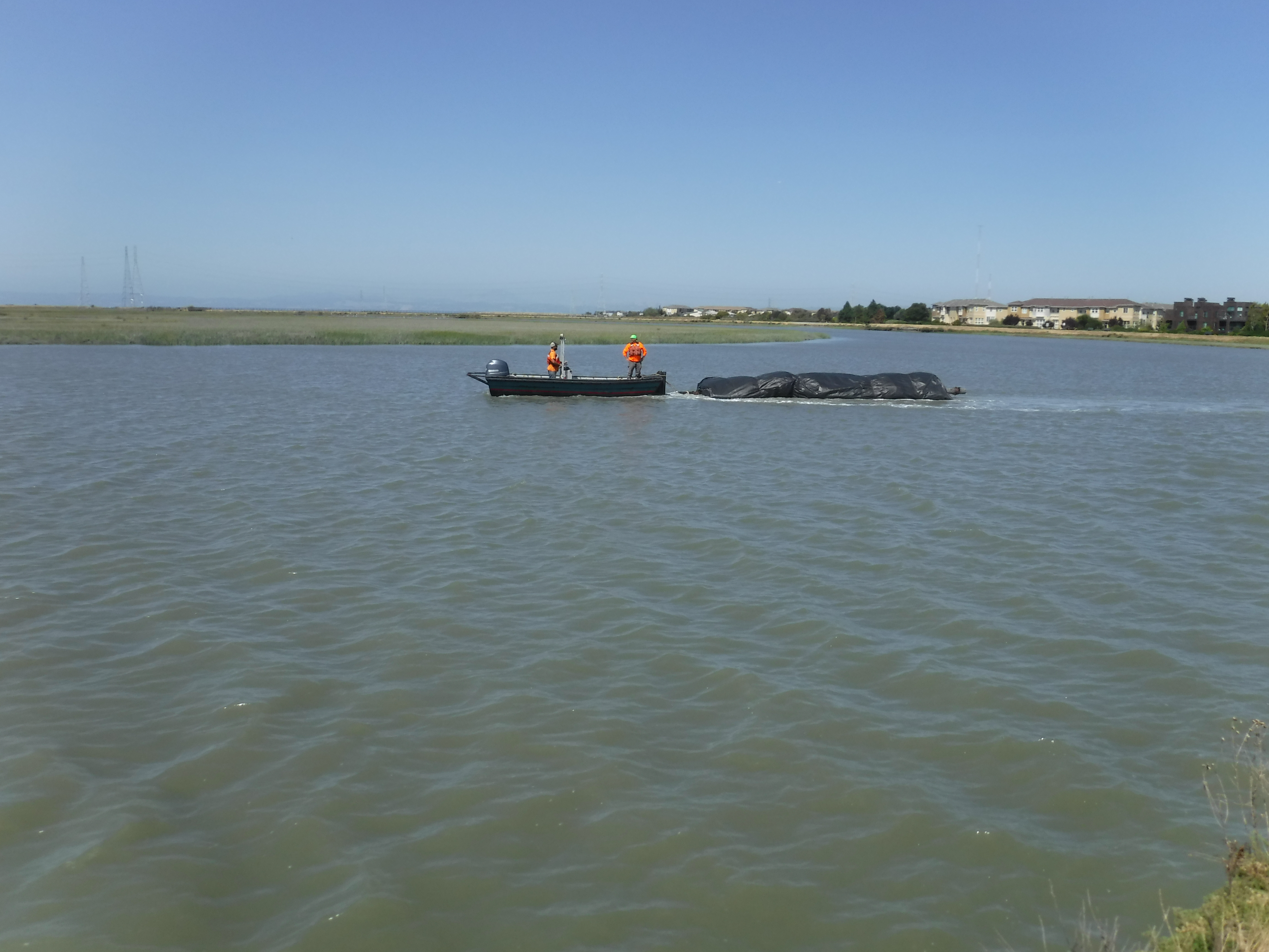 Redwood City, CA 2024