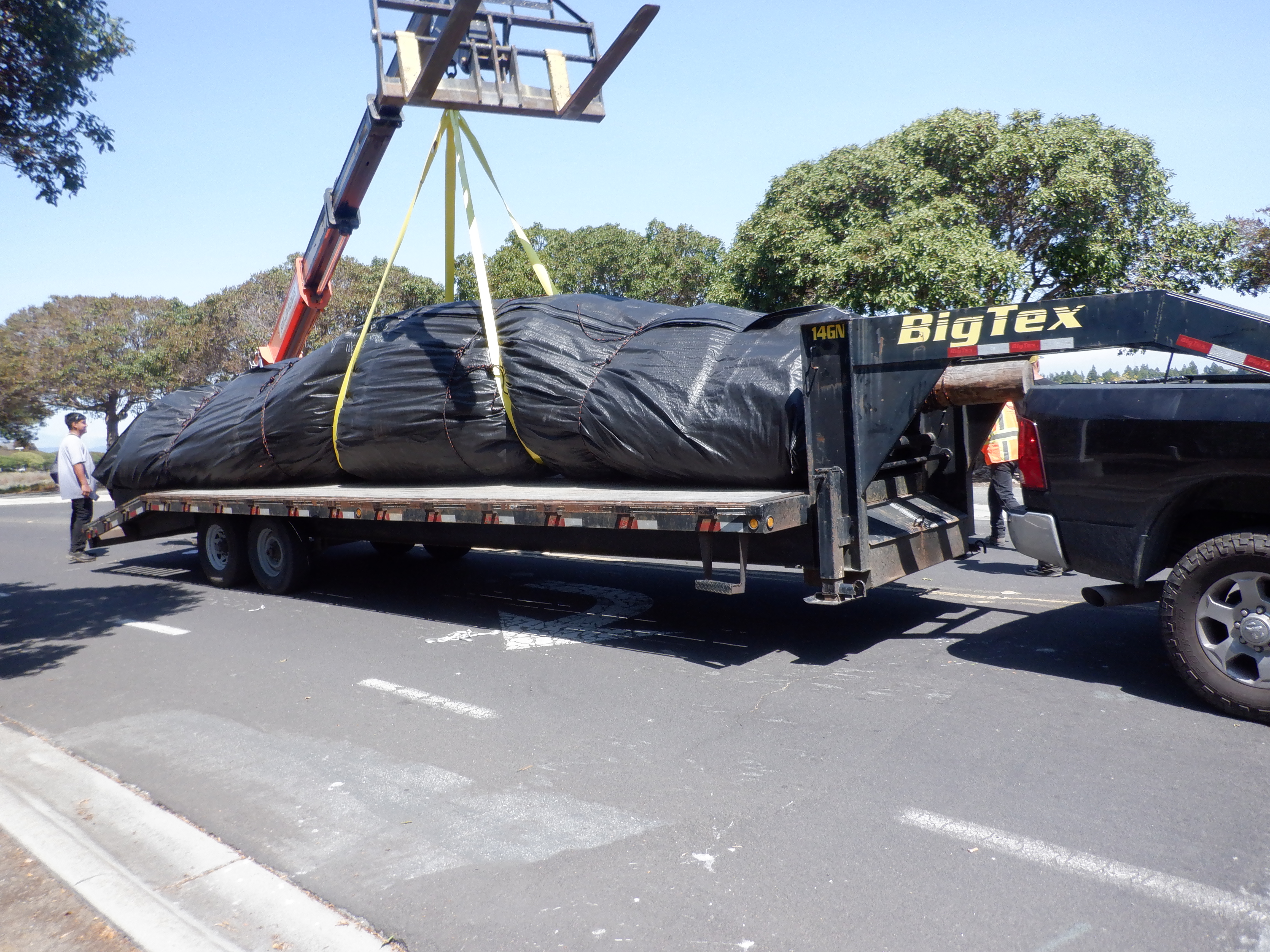 Redwood City, CA 2024