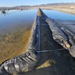 Winterhaven, CA 2024