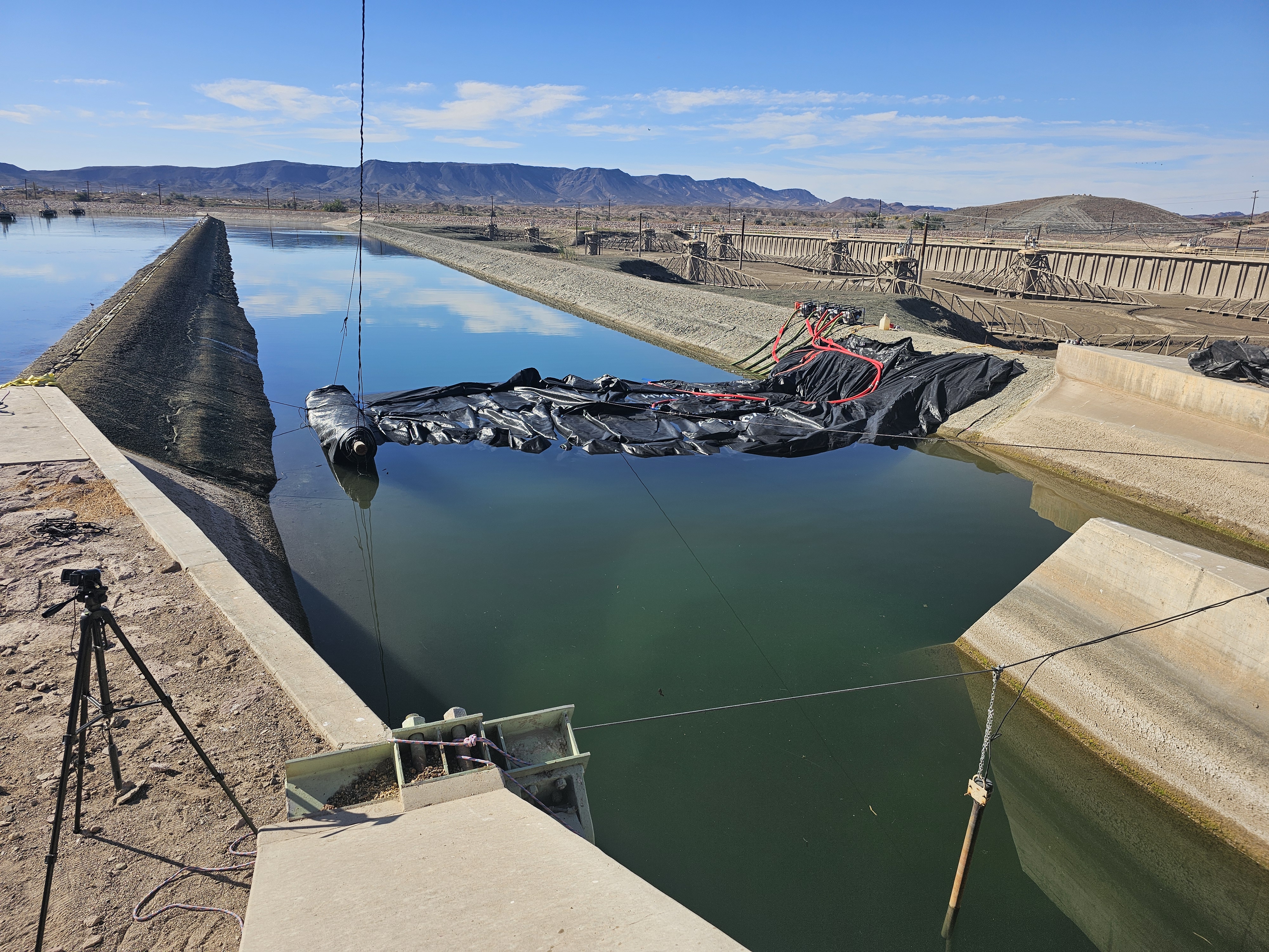 Winterhaven, CA 2024