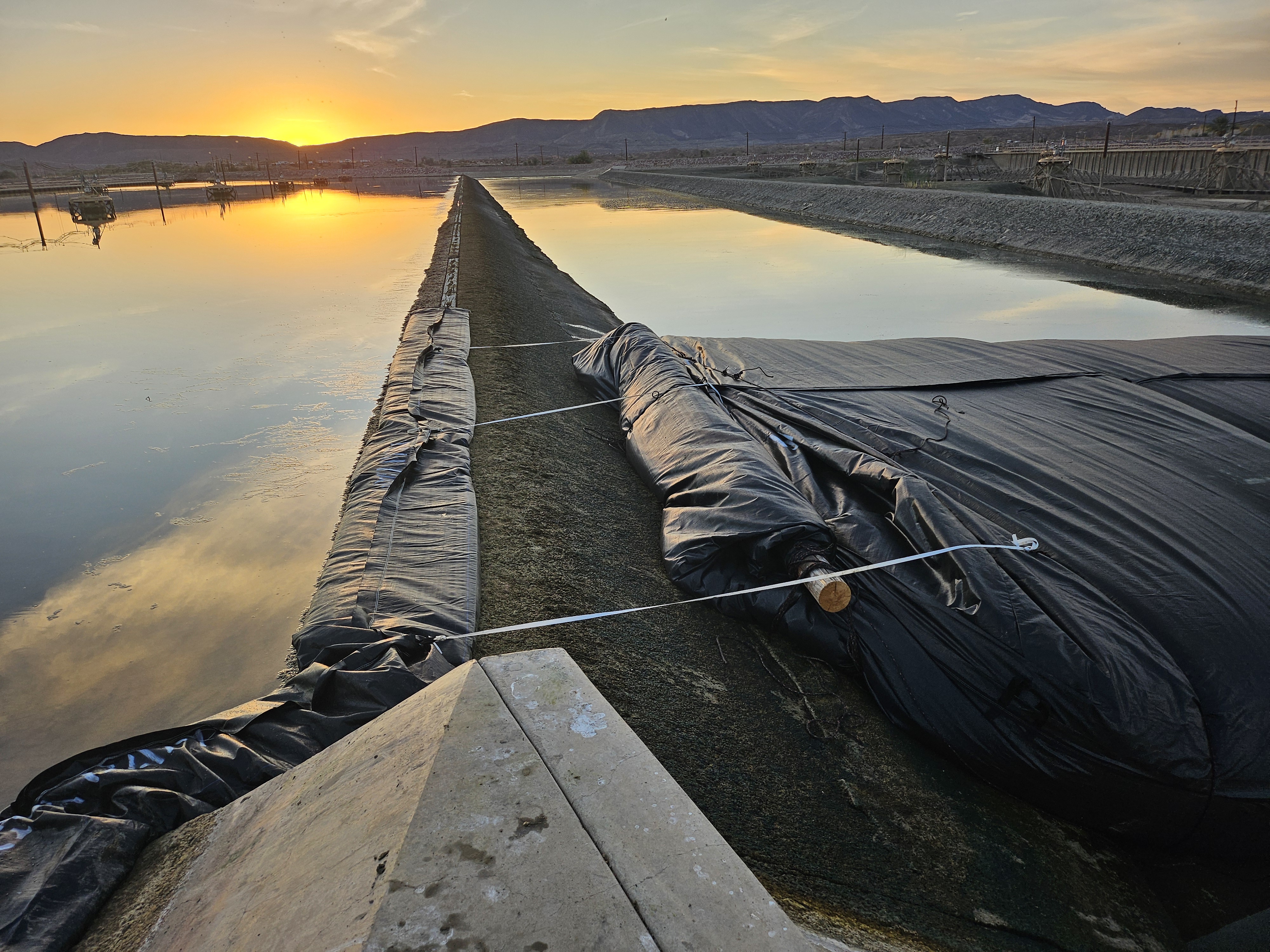 Winterhaven, CA 2024