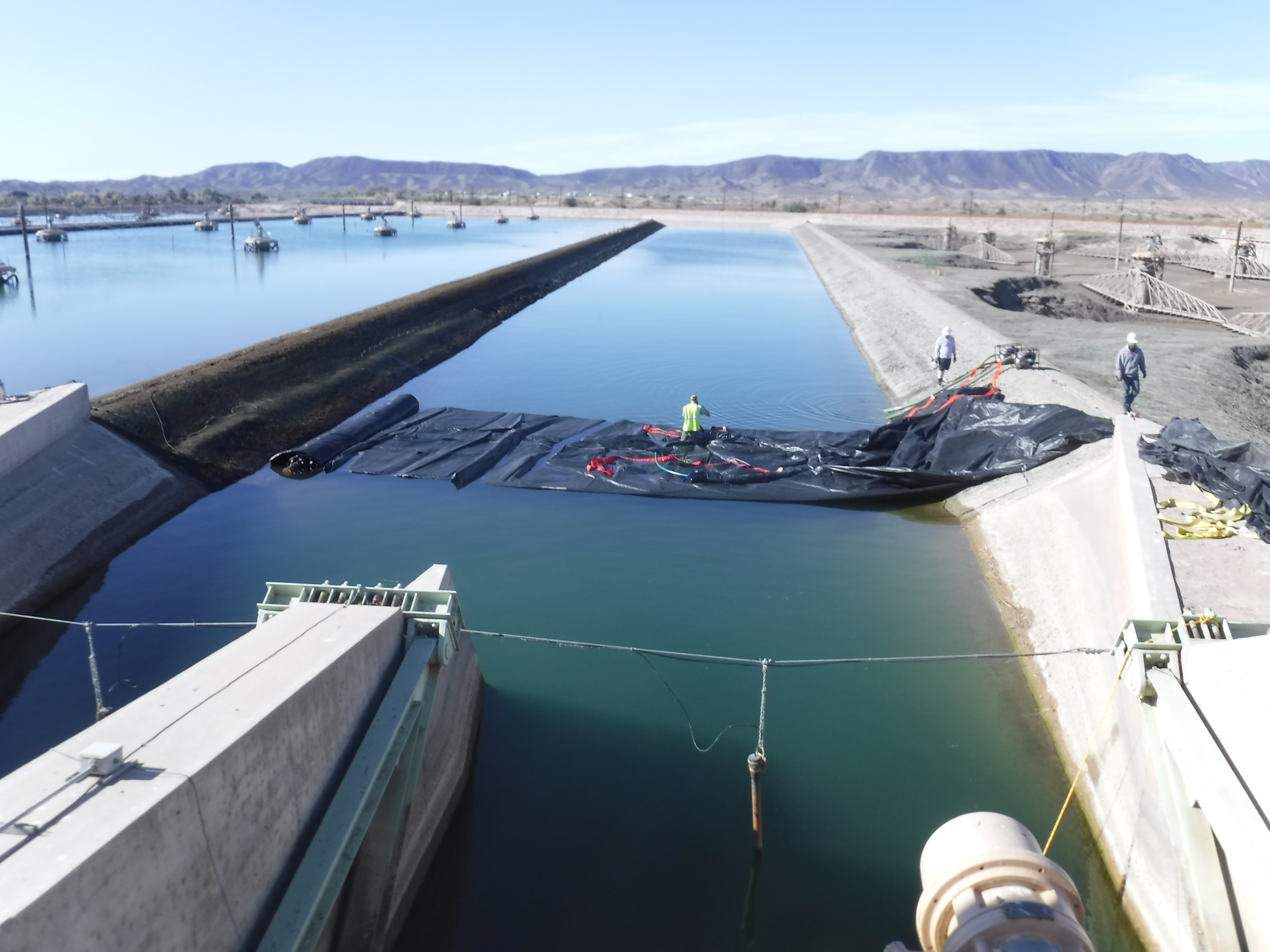 Winterhaven, CA 2024