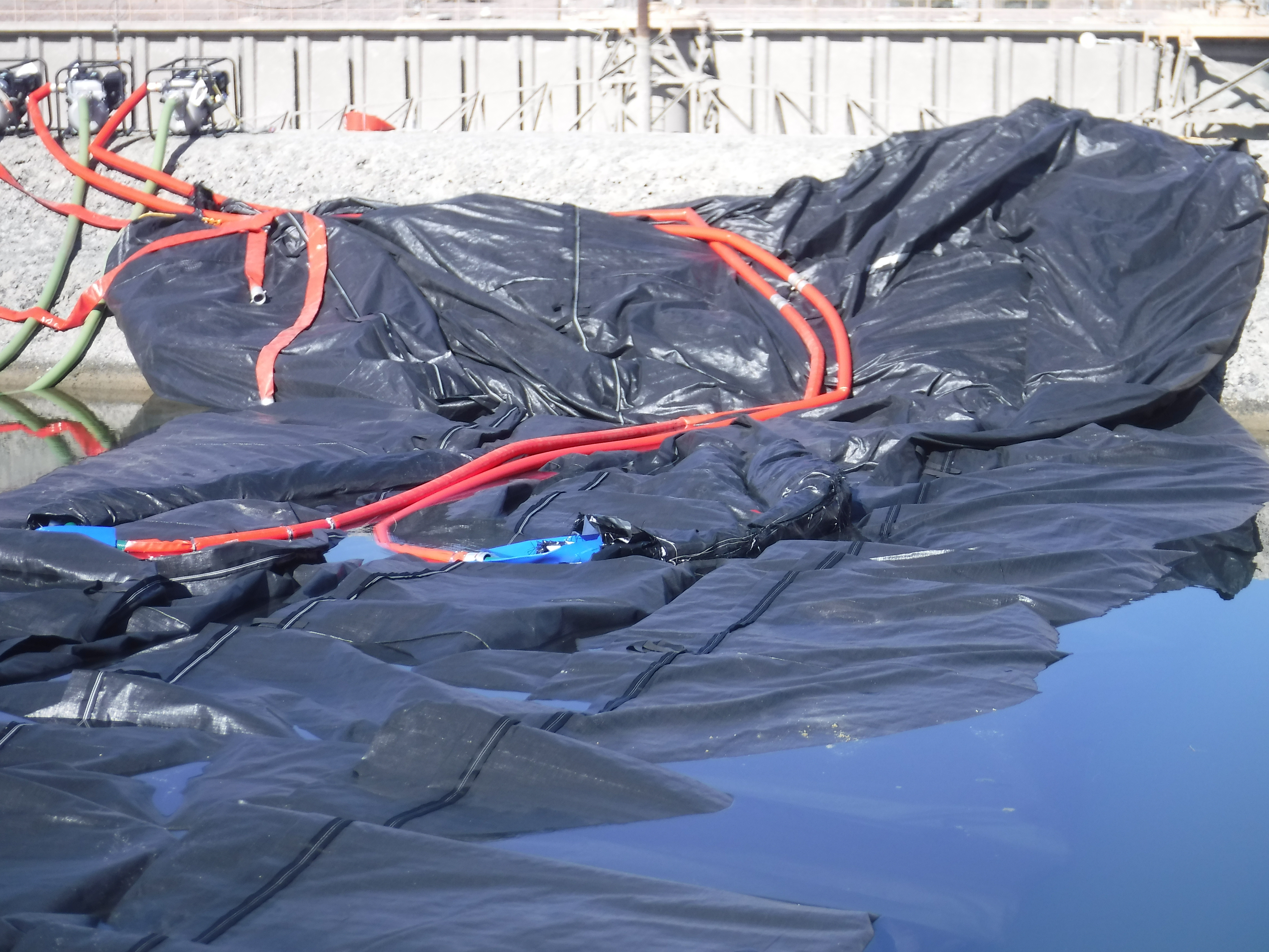 Winterhaven, CA 2024