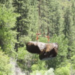 Twain Harte, CA 2013 – Phase One Part I of III