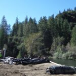 Twain Harte, CA 2013 – Phase Two