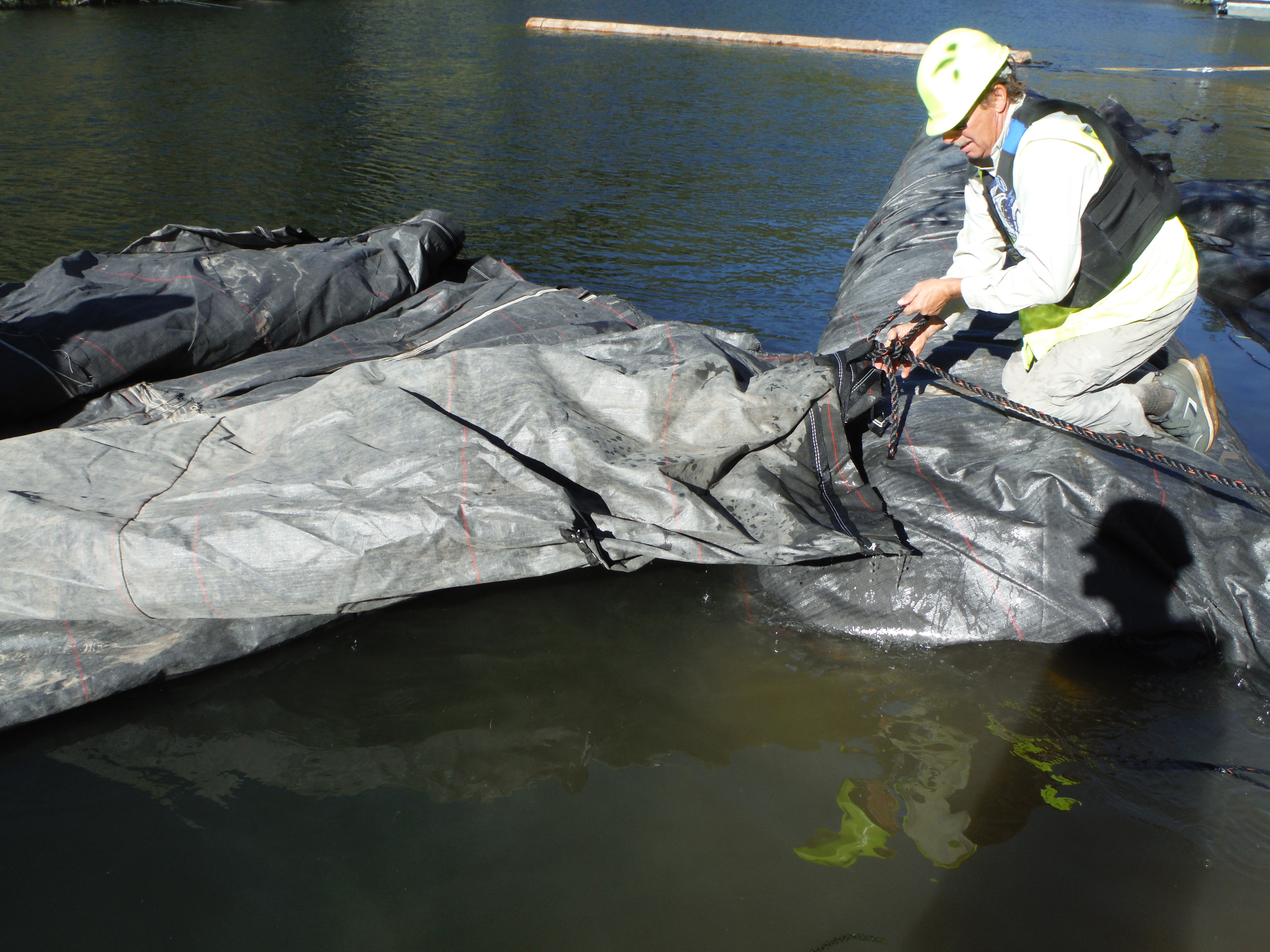 Twain Harte, CA 2013 – Phase Two