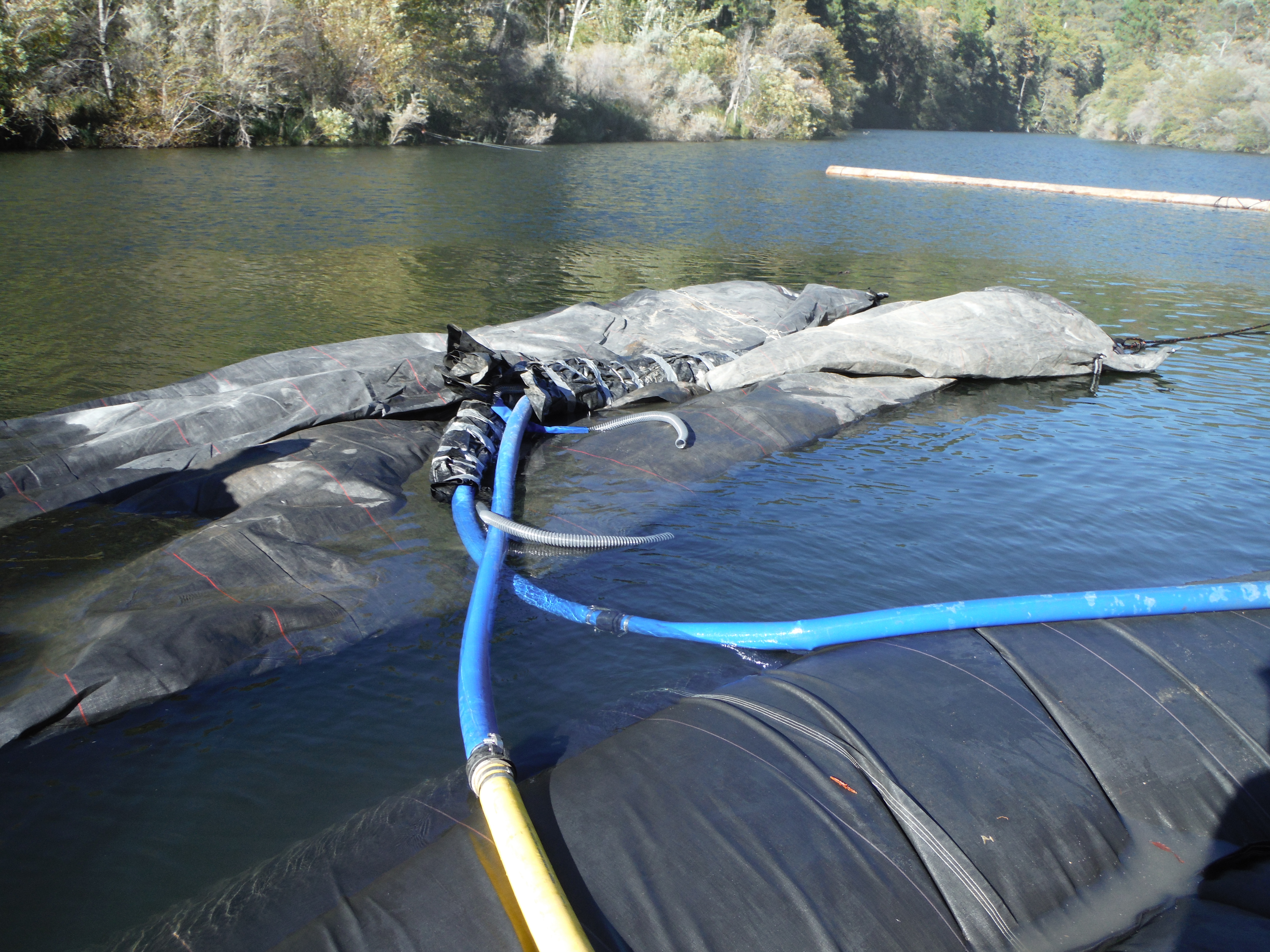 Twain Harte, CA 2013 – Phase Two