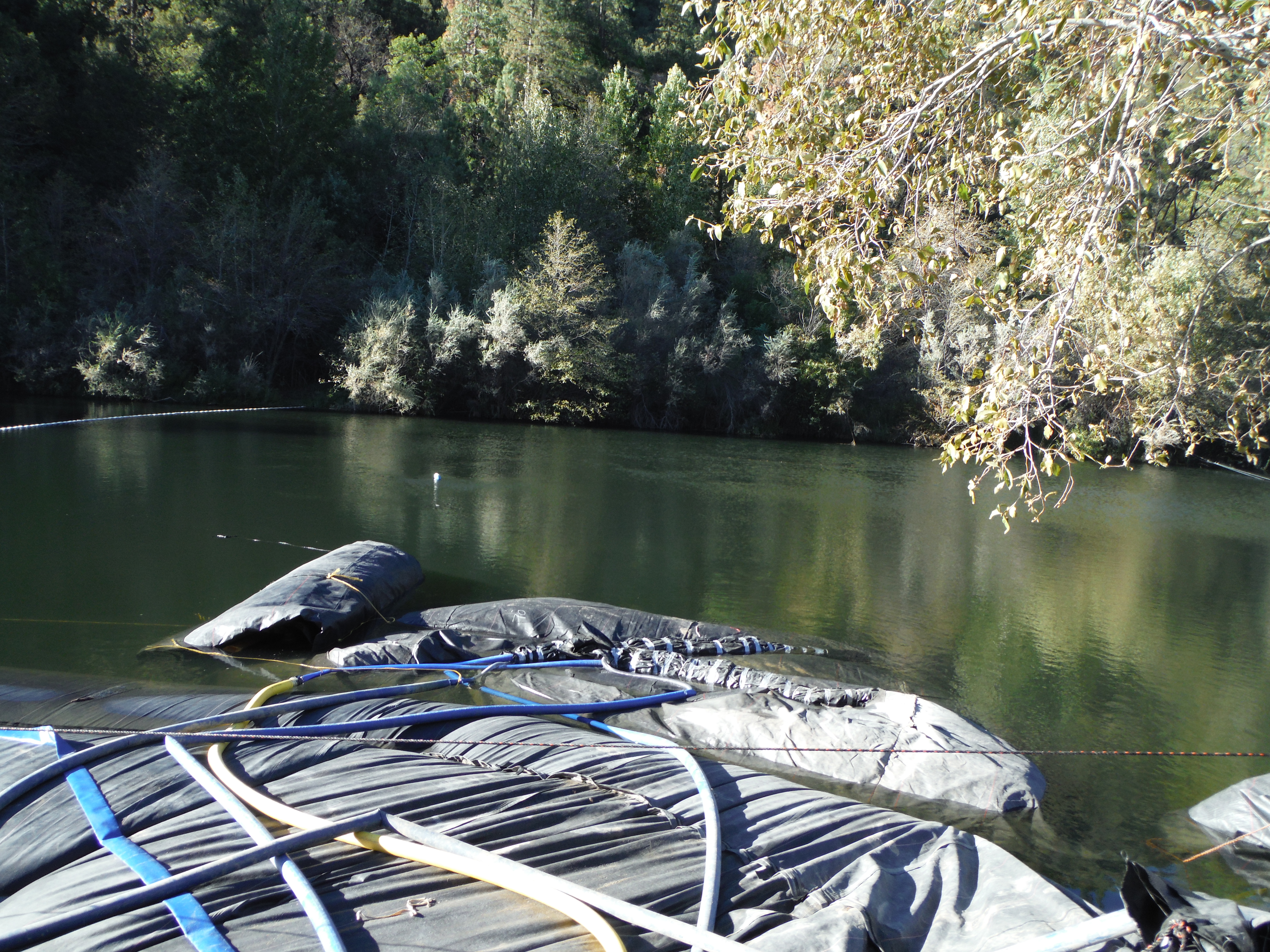 Twain Harte, CA 2013 – Phase Two