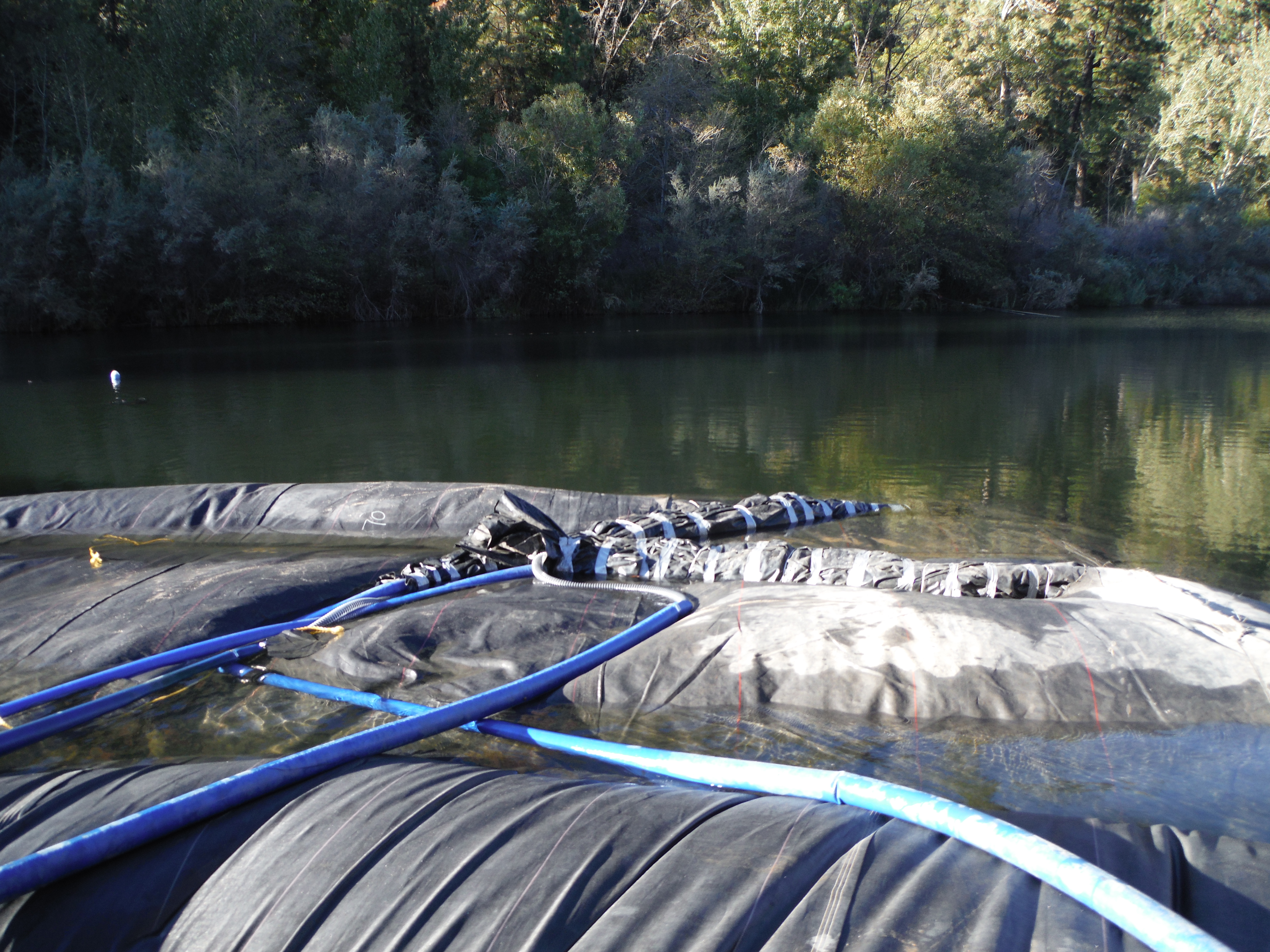 Twain Harte, CA 2013 – Phase Two