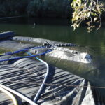 Twain Harte, CA 2013 – Phase Two