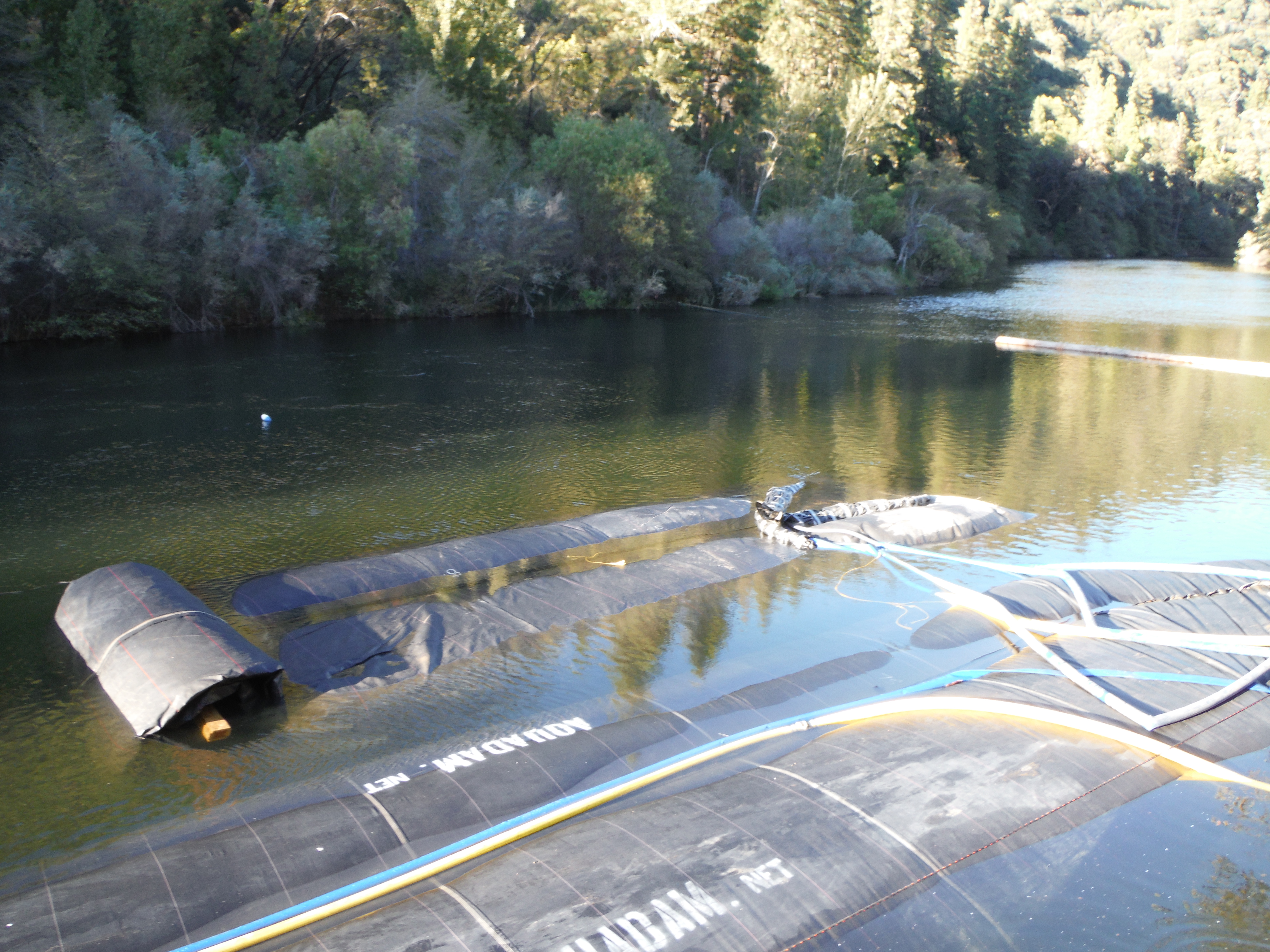 Twain Harte, CA 2013 – Phase Two