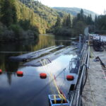 Twain Harte, CA 2013 – Phase Two