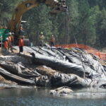 Twain Harte, CA 2013 – Phase One Part III of III