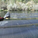 Twain Harte, CA 2013 – Phase Two
