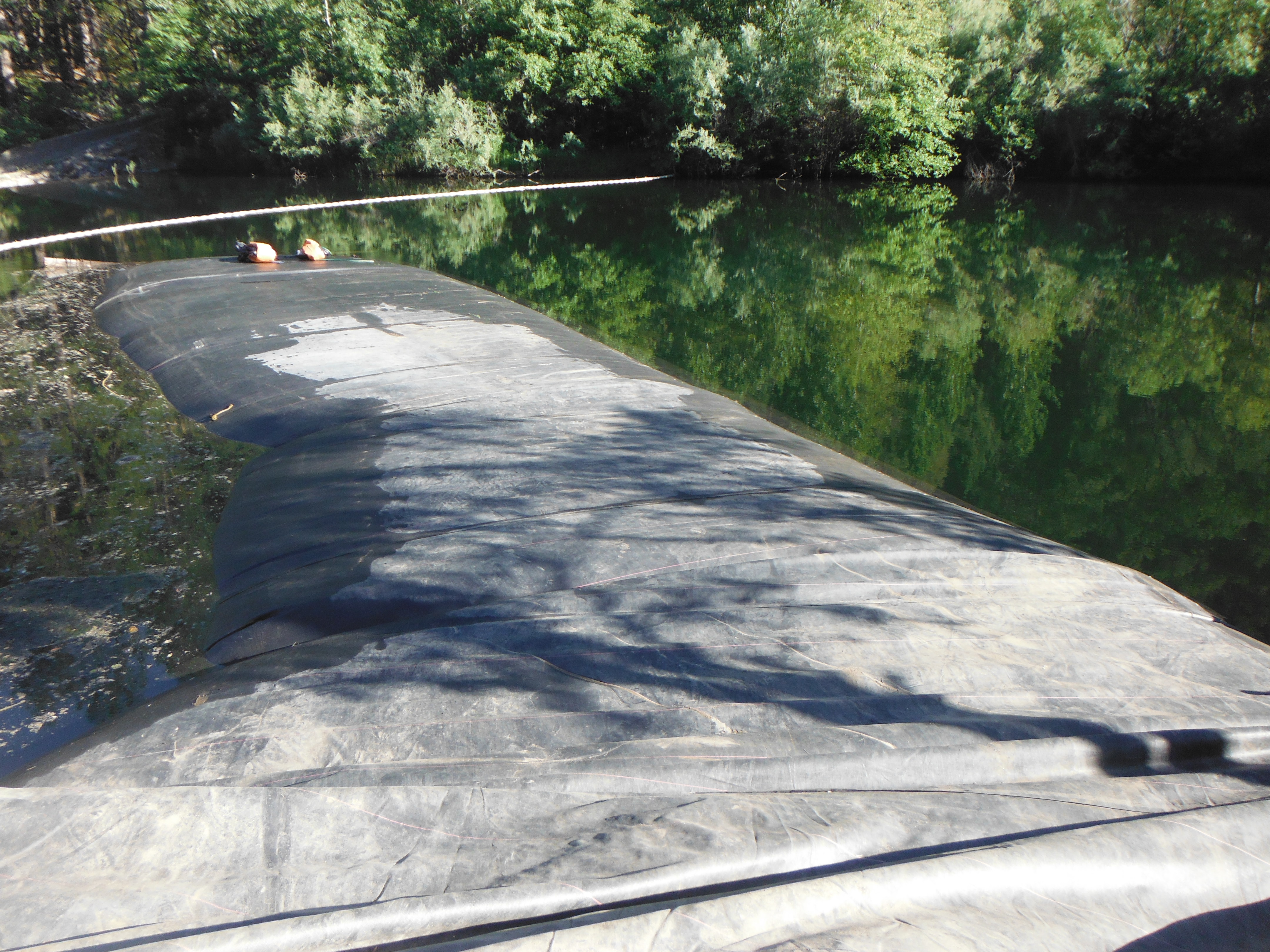 Twain Harte, CA 2013 – Phase One Part I of III