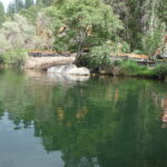 Twain Harte, CA 2013 – Phase One Part I of III
