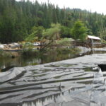 Twain Harte, CA 2013 – Phase One Part I of III