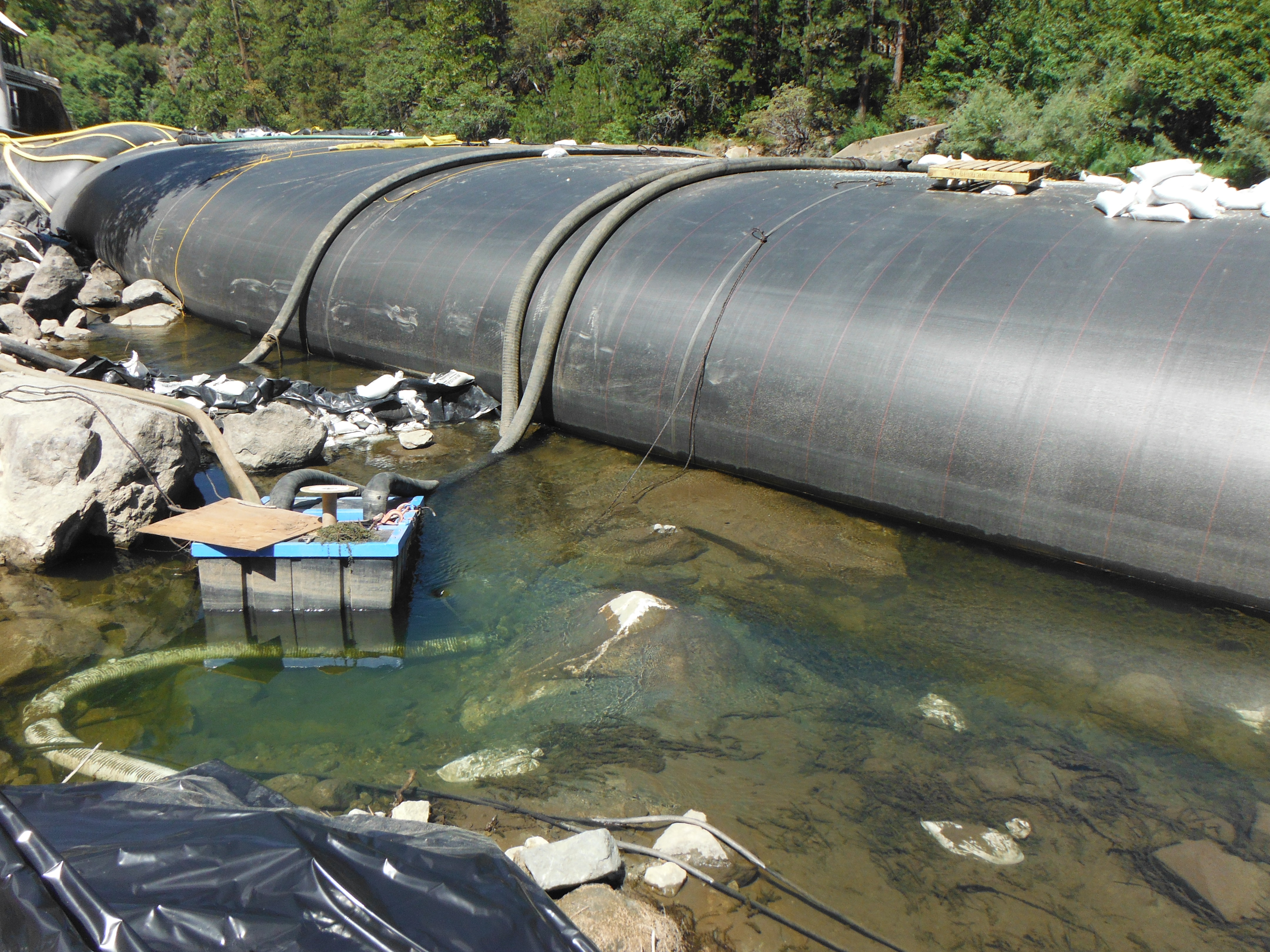 Twain Harte, CA 2013 – Phase One Part II of III