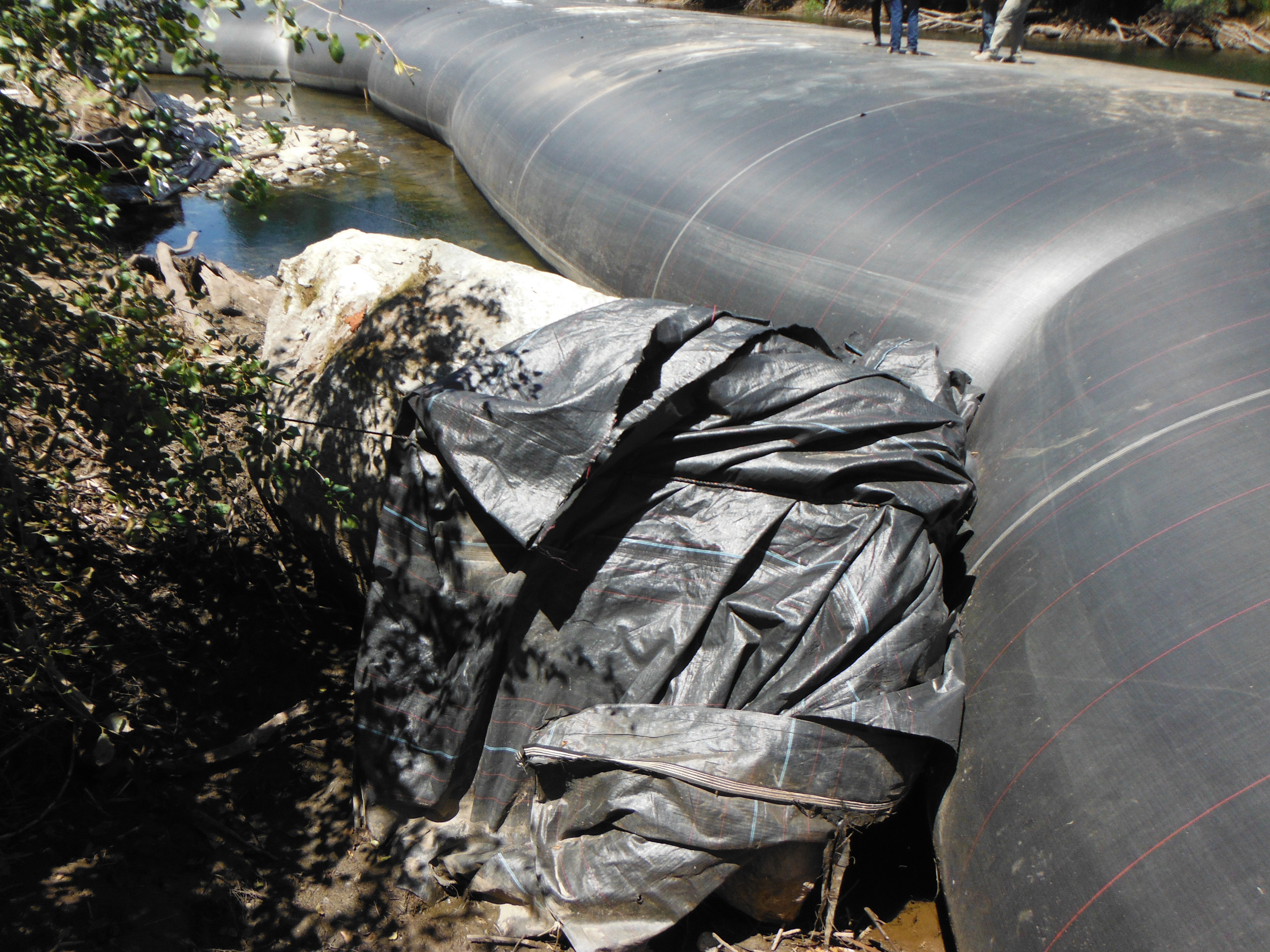 Twain Harte, CA 2013 – Phase One Part II of III