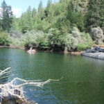 Twain Harte, CA 2013 – Phase One Part II of III