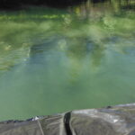 Twain Harte, CA 2013 – Phase One Part II of III