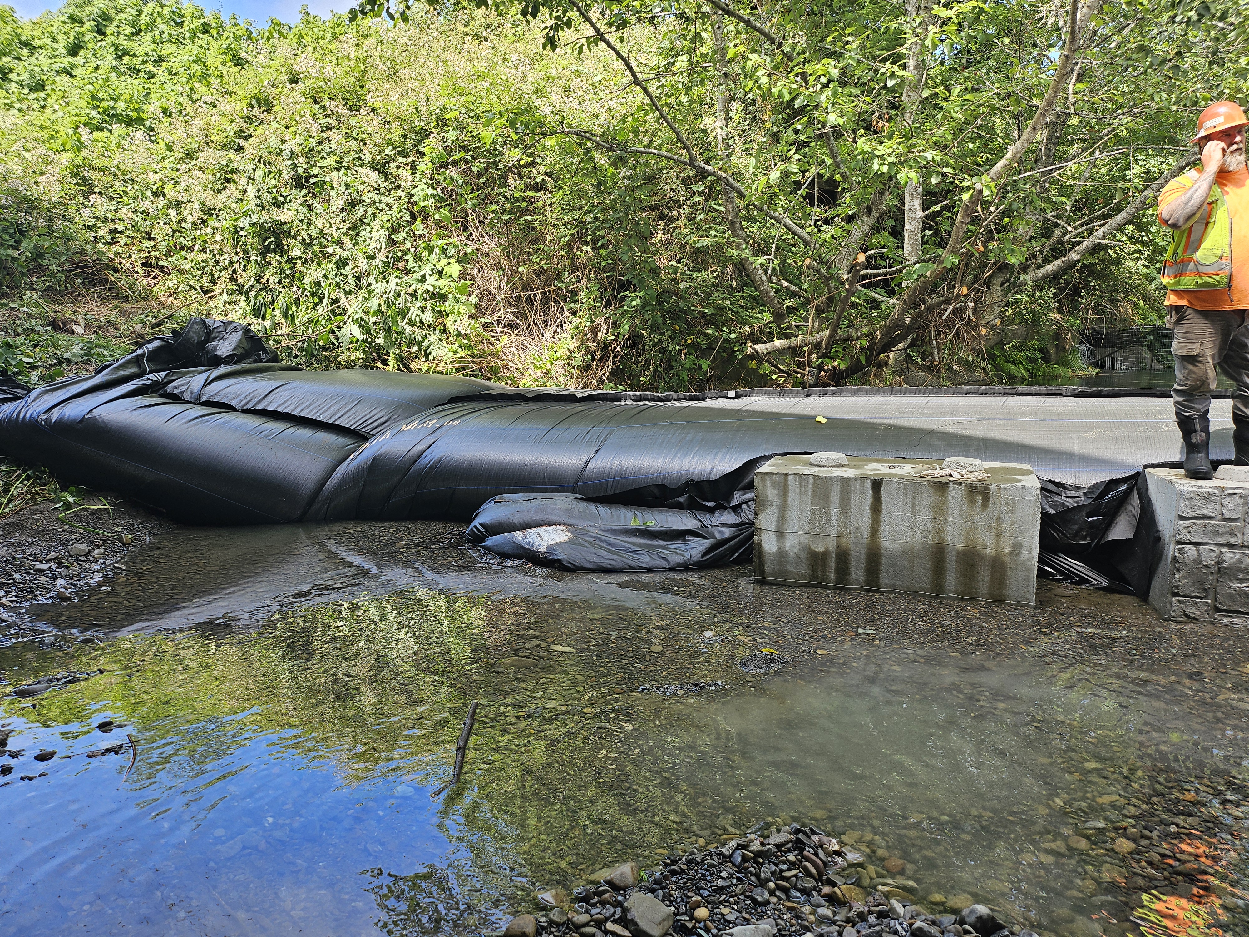 Smith River, CA 2024 – Part II of II