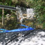 Smith River, CA 2024 – Part I of II