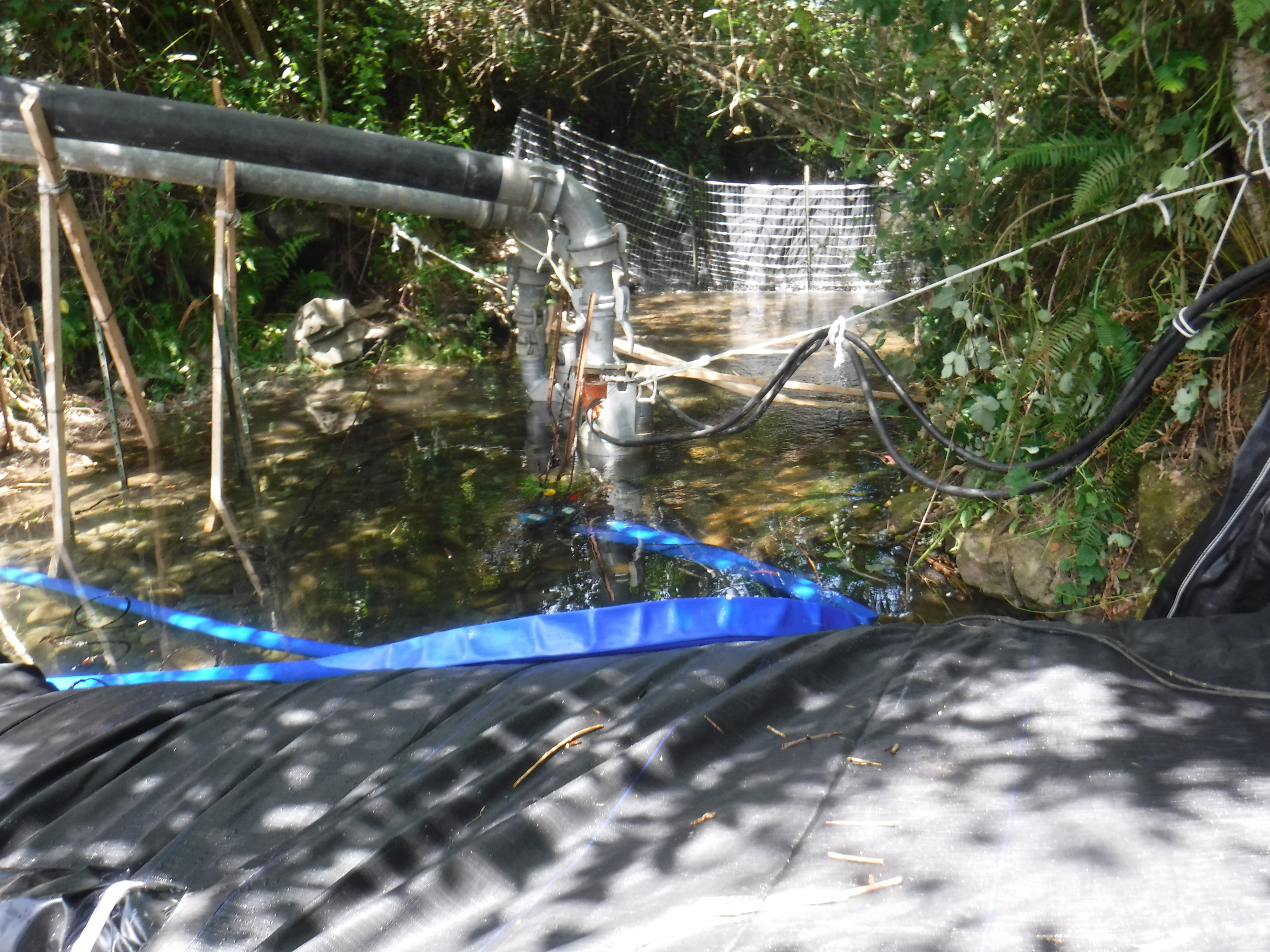 Smith River, CA 2024 – Part I of II