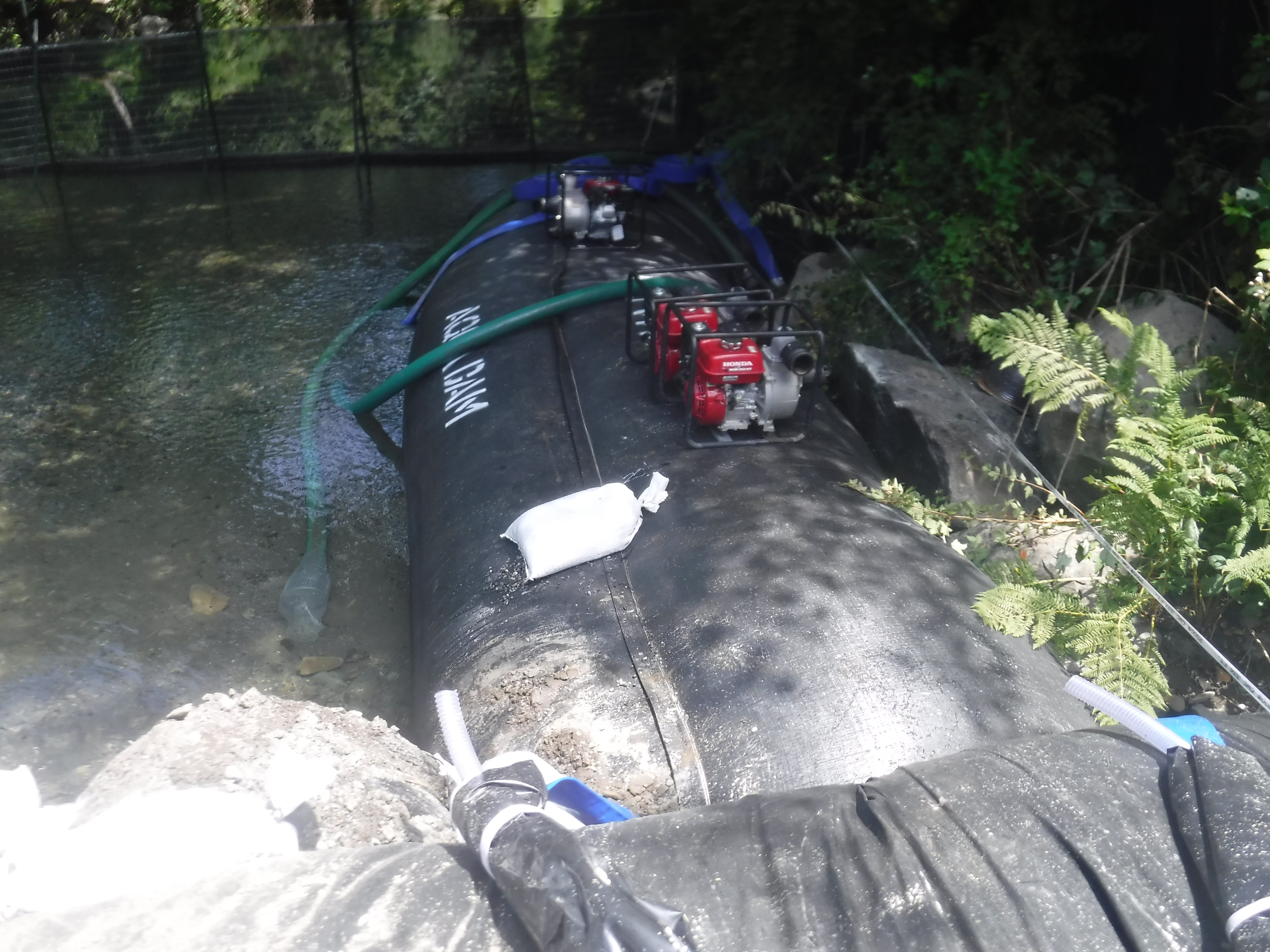 Smith River, CA 2024 – Part II of II
