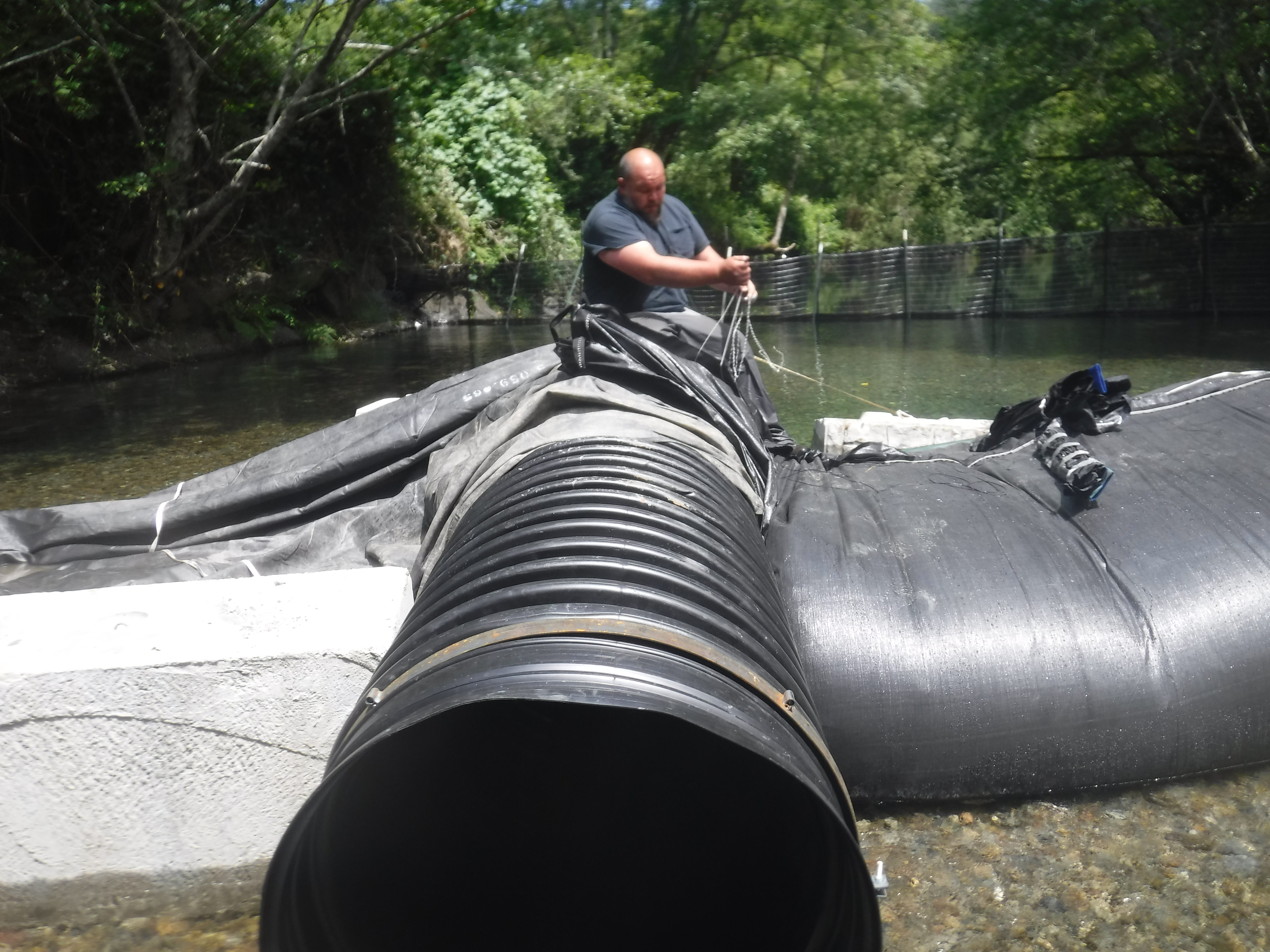 Smith River, CA 2024 – Part II of II
