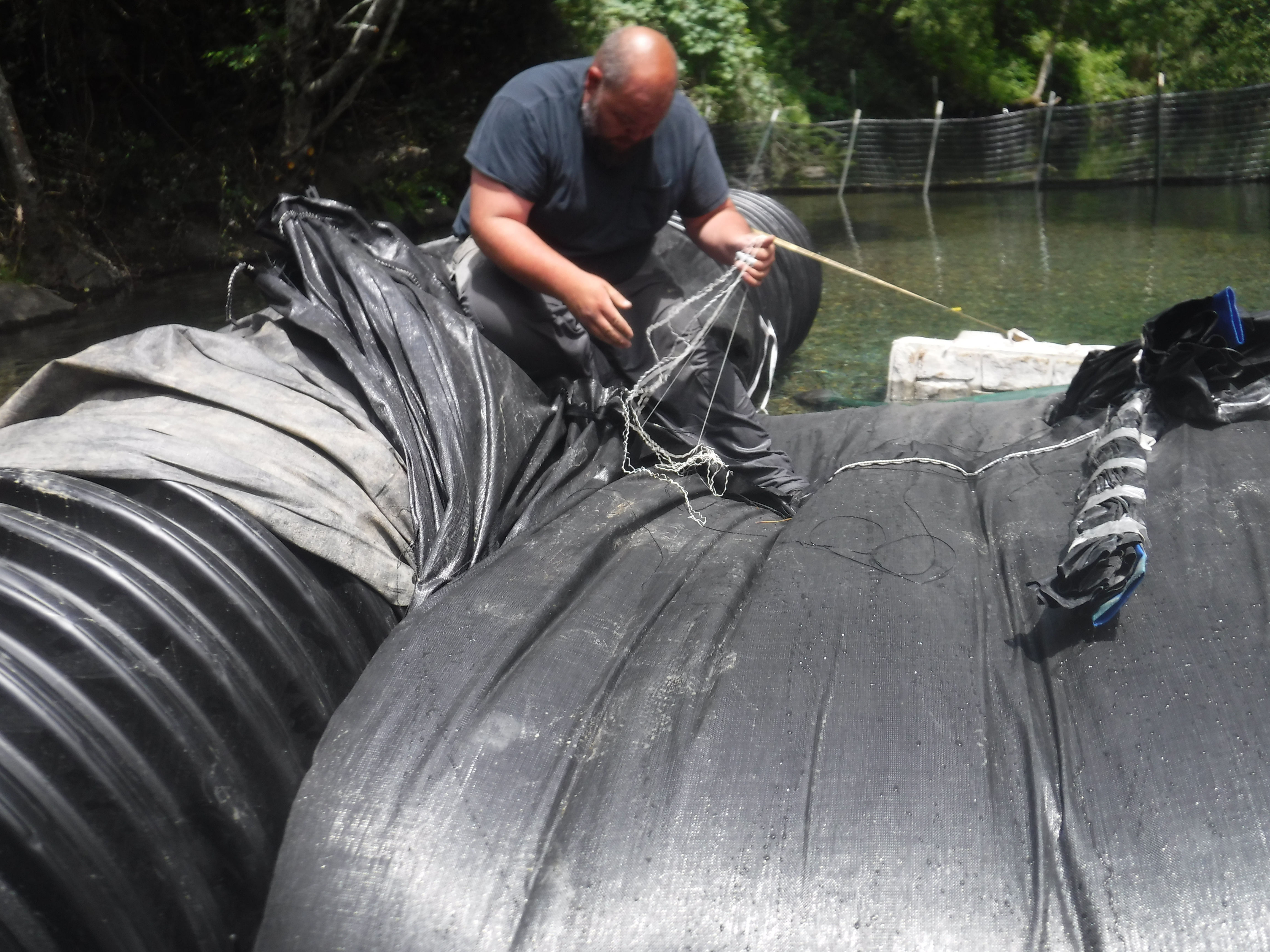 Smith River, CA 2024 – Part II of II