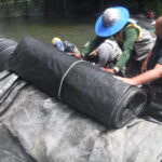 Smith River, CA 2024 – Part II of II