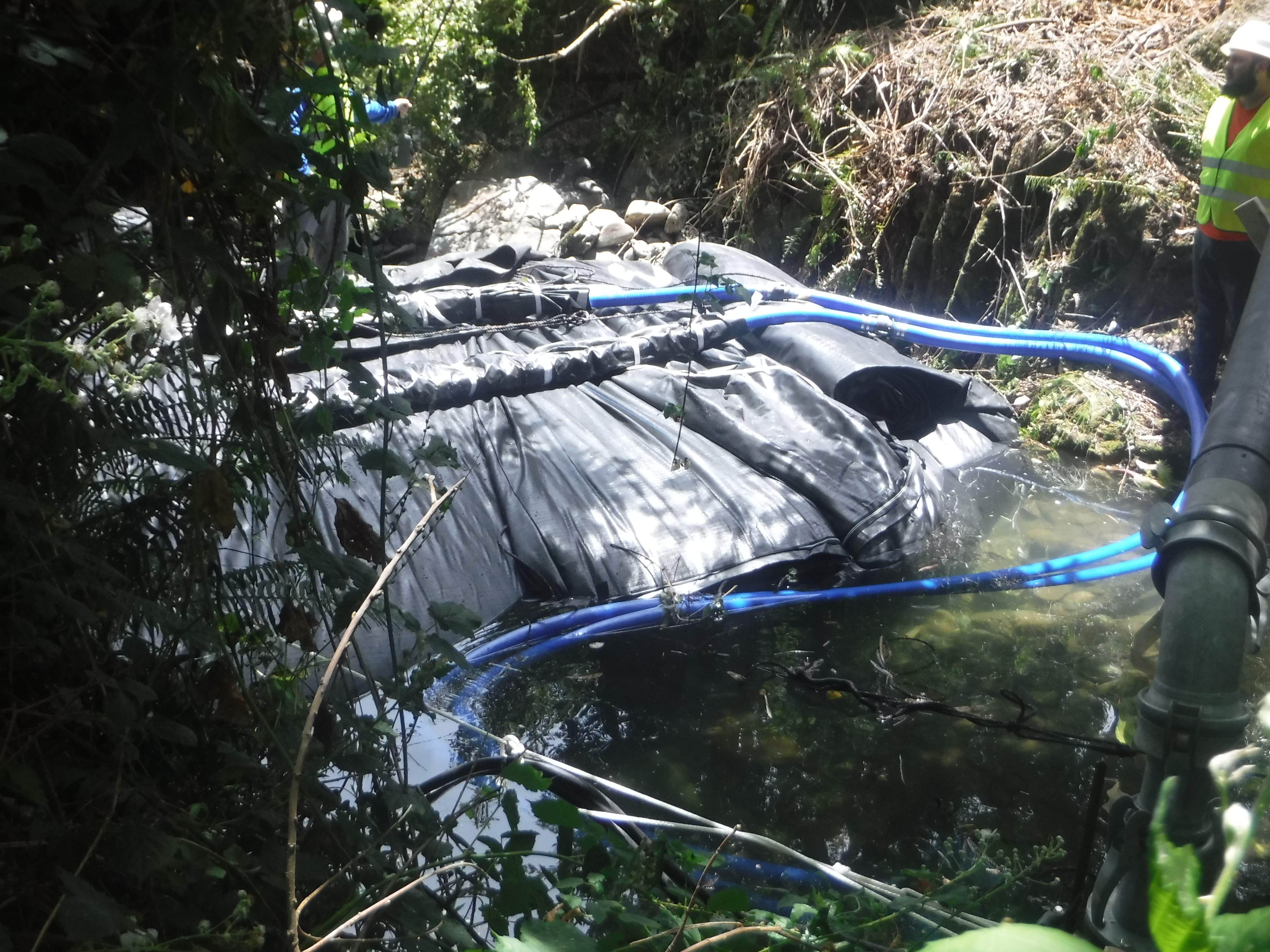 Smith River, CA 2024 – Part I of II