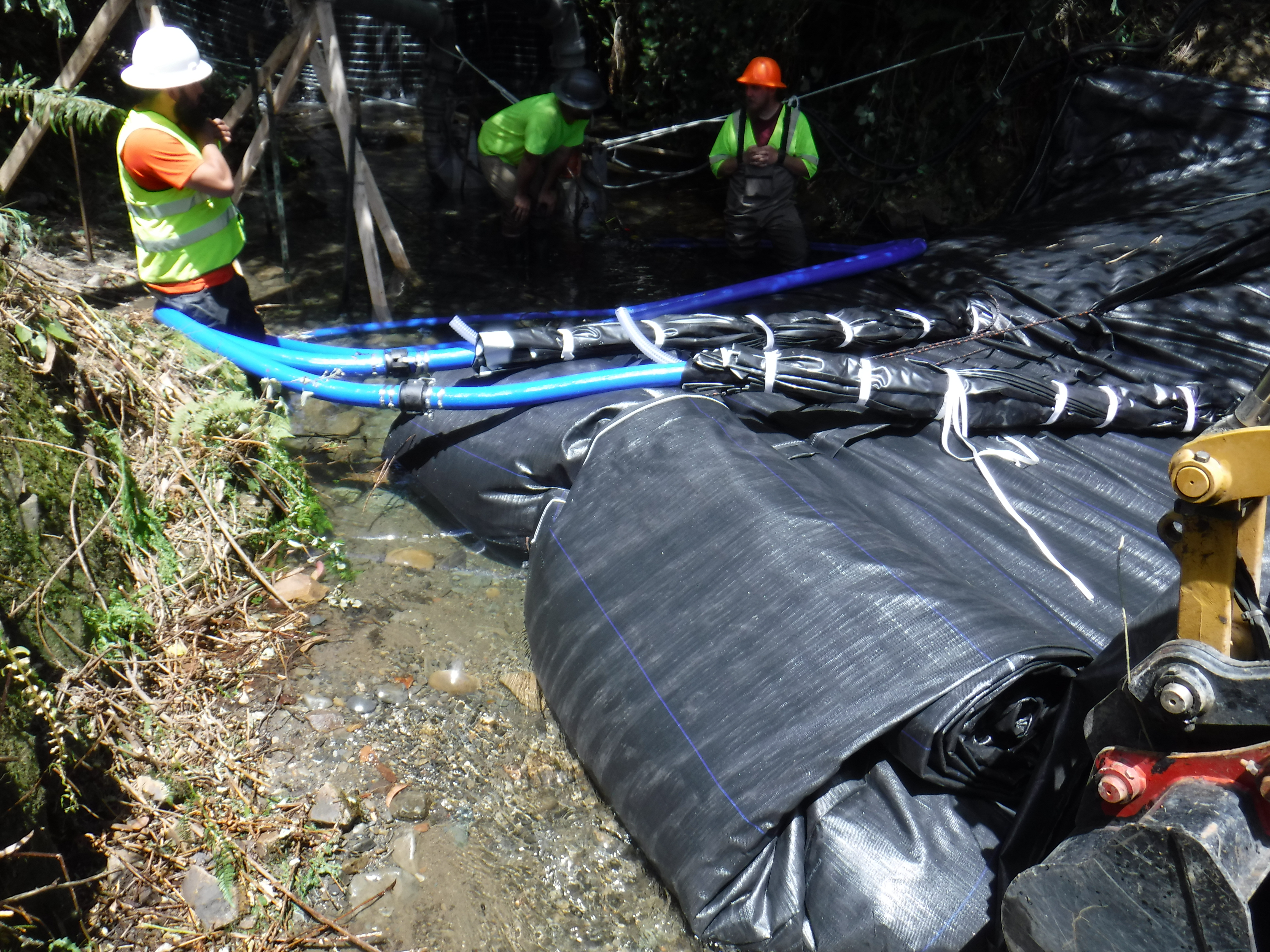 Smith River, CA 2024 – Part I of II